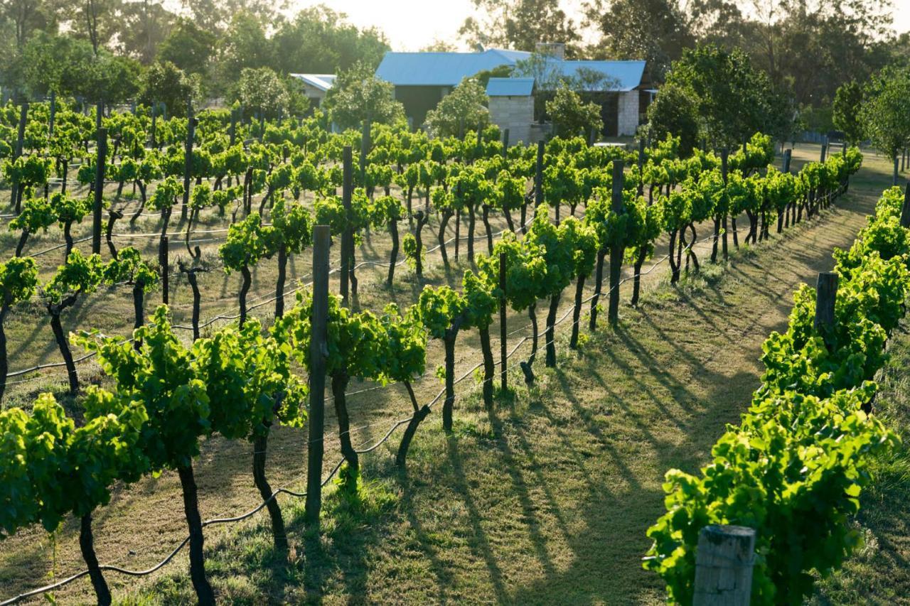 Thistle Hill Guesthouse - Walk To Many Wineries And Restaurants Pokolbin Esterno foto