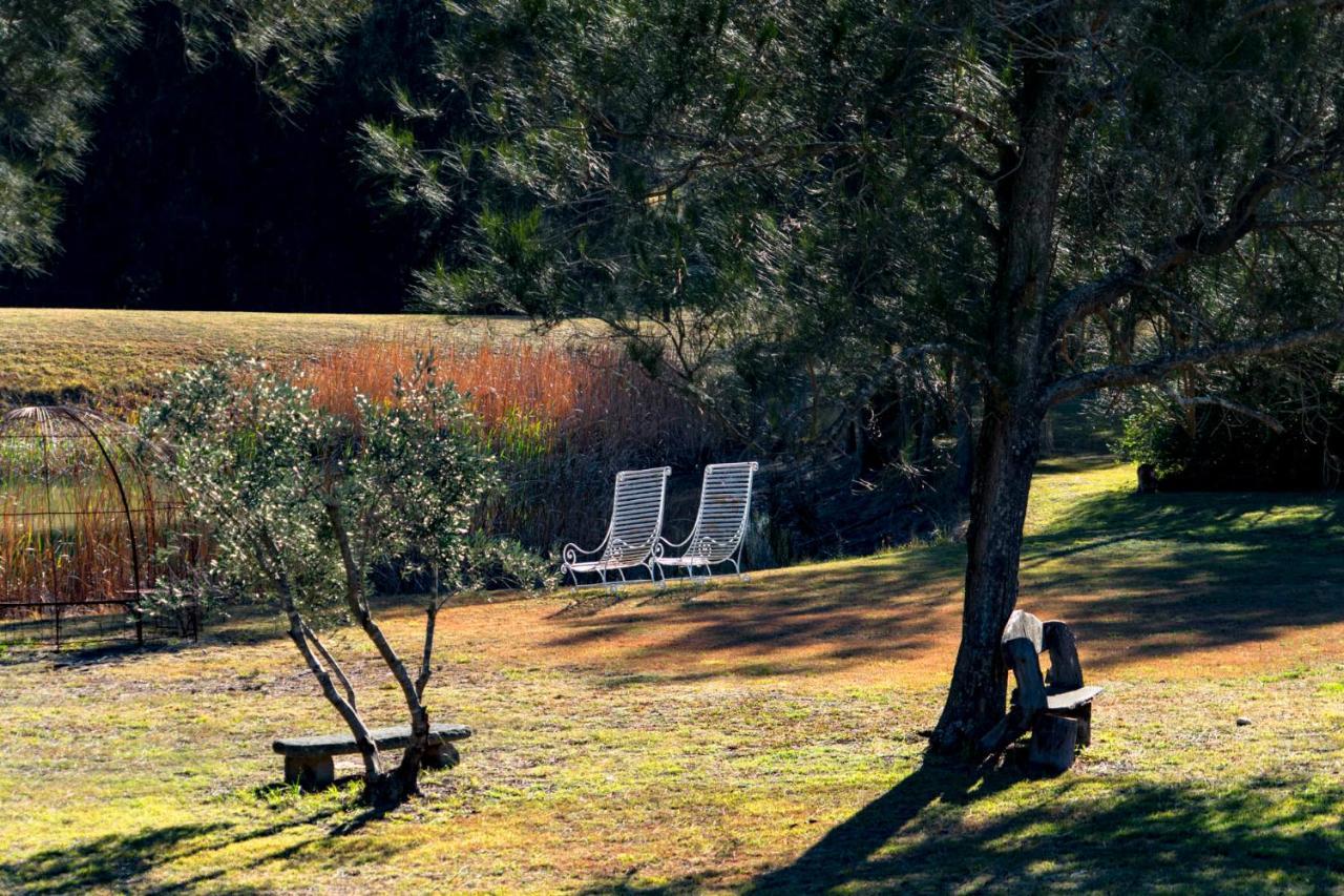 Thistle Hill Guesthouse - Walk To Many Wineries And Restaurants Pokolbin Esterno foto