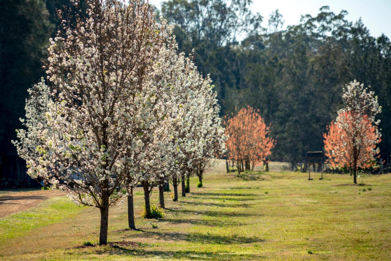 Thistle Hill Guesthouse - Walk To Many Wineries And Restaurants Pokolbin Esterno foto