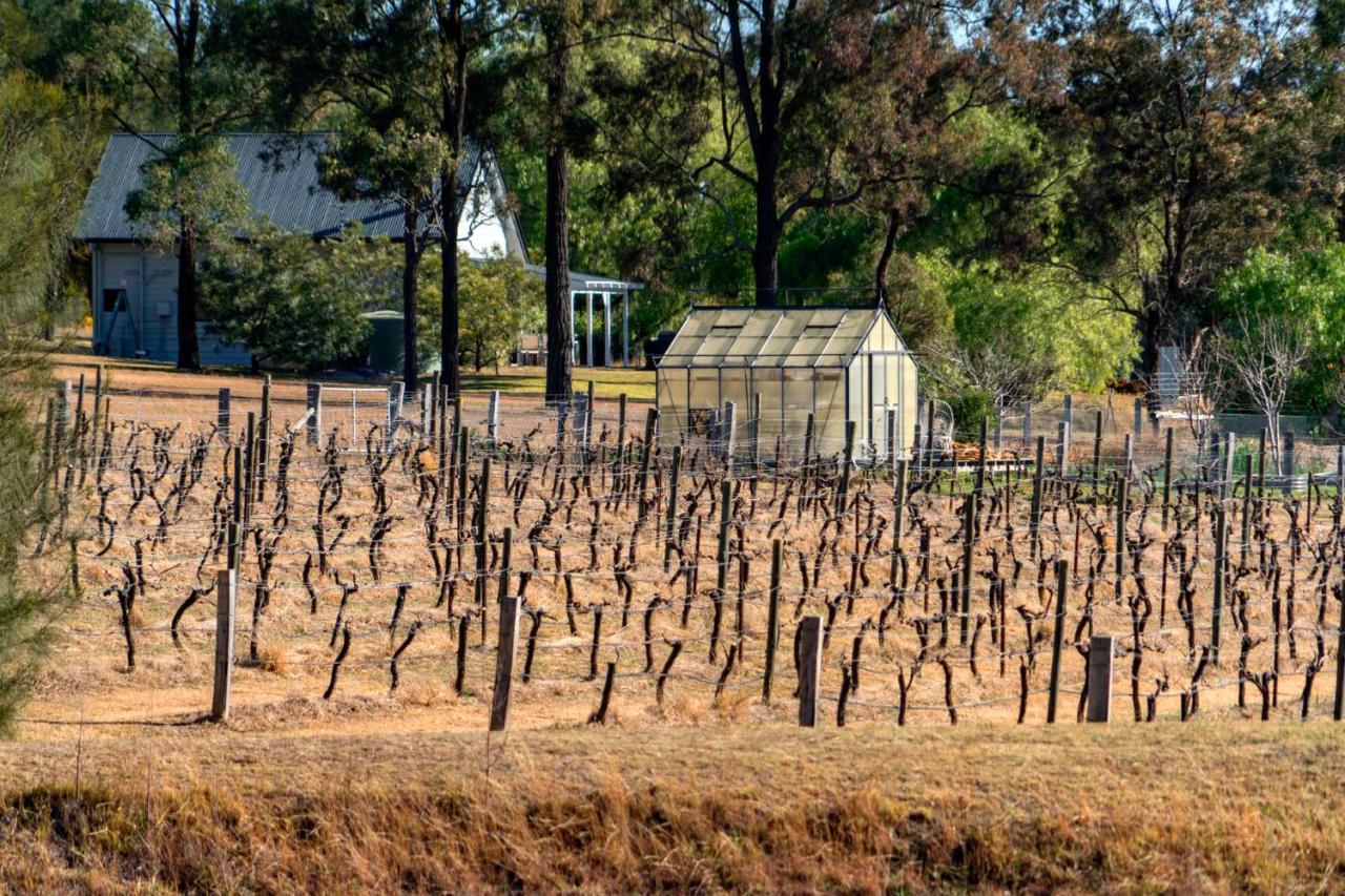 Thistle Hill Guesthouse - Walk To Many Wineries And Restaurants Pokolbin Esterno foto