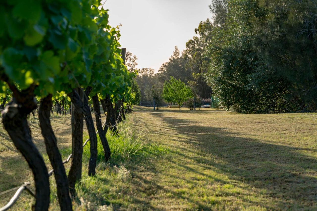 Thistle Hill Guesthouse - Walk To Many Wineries And Restaurants Pokolbin Esterno foto