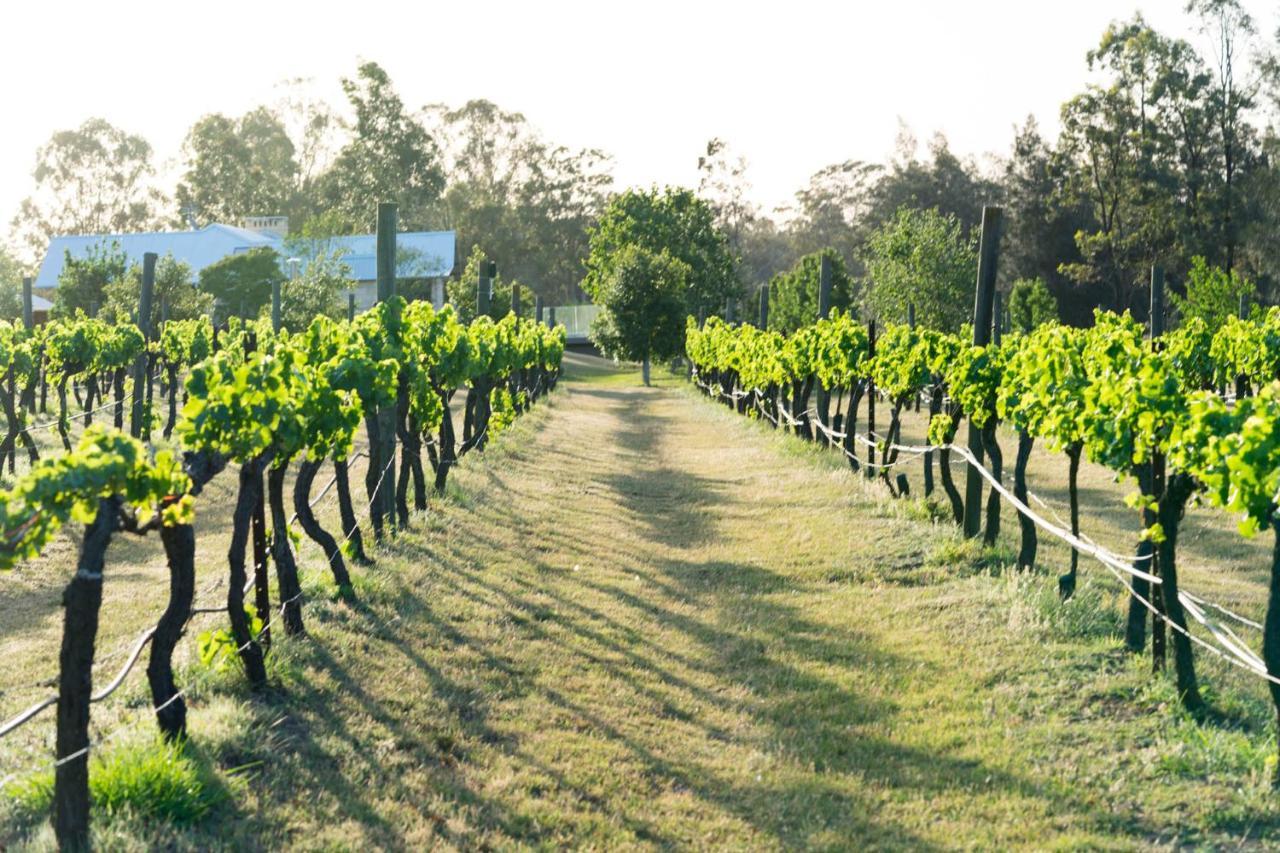 Thistle Hill Guesthouse - Walk To Many Wineries And Restaurants Pokolbin Esterno foto